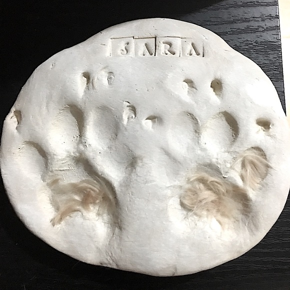 Meet your Posher, Eve - Picture 12 of 14